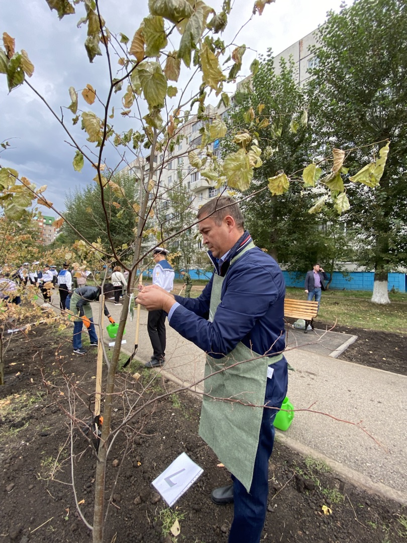ГК МЕТТА выступила меценатом создания аллеи «Затонские липы» в Уфе